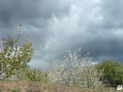 Cerezos flor_Valle del Jerte;montañeros de monfrague senderismo la rioja la mira gredos puente almu